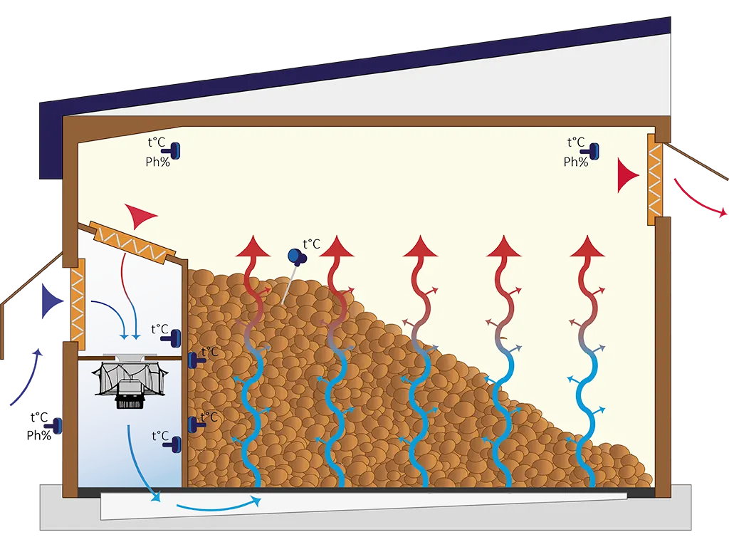 Схема стационарной системы вентиляции в овощехранилище