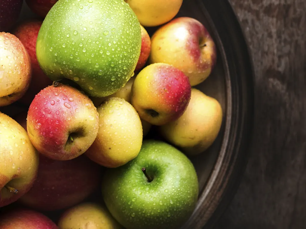 Хранение яблок в фруктохранилище с вентиляцией