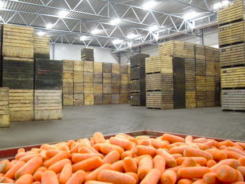 Хранение моркови в контейнерах на овощехранилище