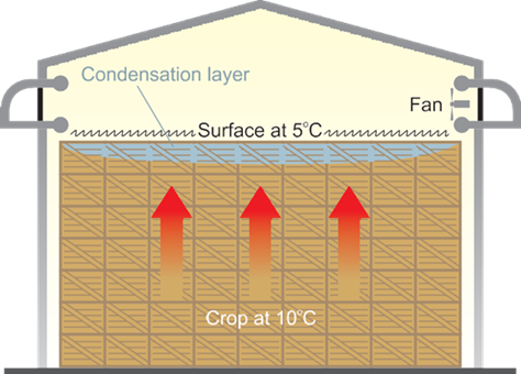Рис.1. Конденсация воздуха в верхнем слое насыпи.
