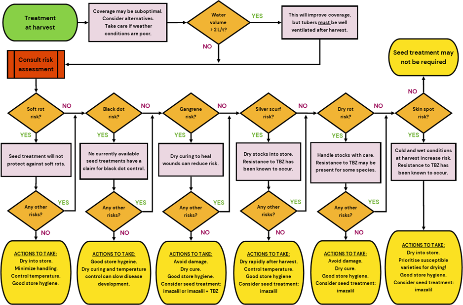 Рис. 5. Алгоритмы обработки клубней во время закладки на хранение
