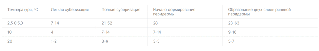 Таблица 1. Продолжительность различных стадий заживления повреждений кожуры (суберизации)