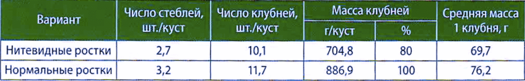 Таблица 4. Продуктив­ность растений картофеля, полученных из клубней с нитевидными и нормально развитыми ростками
