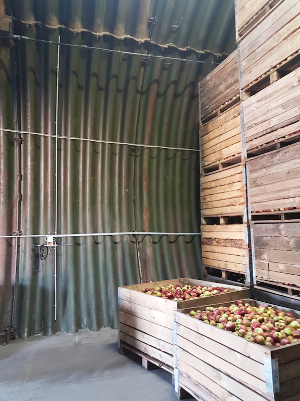 Система телеметрии (датчиков) в камере хранения яблок, ФХ Януш (камера на 240 тонн, 2019 год)